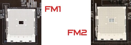 Внешне сокеты FM1 и FM2 одинаковы, но совместимости нет